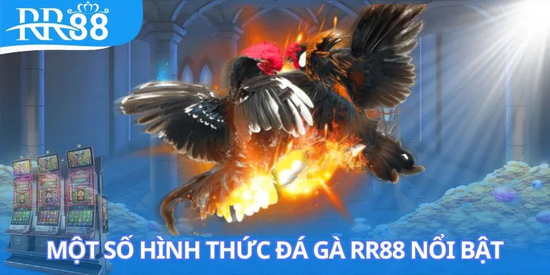 da-ga-rr88-hinh-thuc