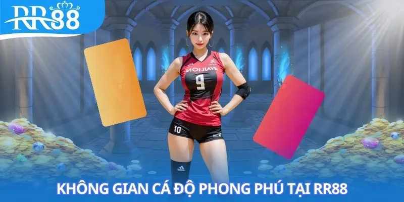 the-thao-rr88-khong-gian